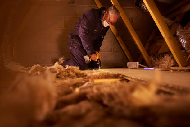 Best Eco-Friendly or Green Insulation Solutions  in Ashton, ID